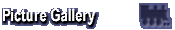 Picture Gallery