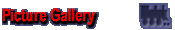 Picture Gallery