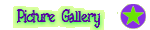 Picture Gallery