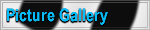 Picture Gallery