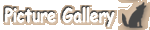 Picture Gallery