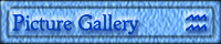 Picture Gallery