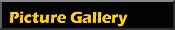Picture Gallery