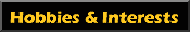 Interests & Hobbies