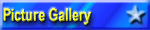 Picture Gallery