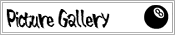 Picture Gallery