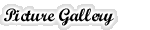 Picture Gallery