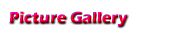 Picture Gallery