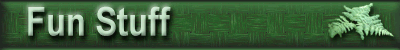 Fun