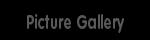 Picture Gallery