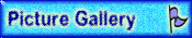 Picture Gallery