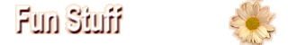 Fun