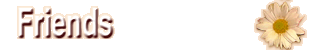 Friends