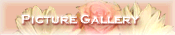 Picture Gallery