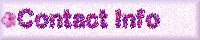 Contact Info