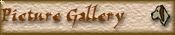 Picture Gallery