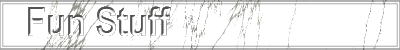 Fun