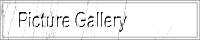 Picture Gallery