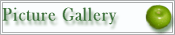 Picture Gallery