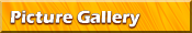 Picture Gallery