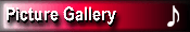 Picture Gallery