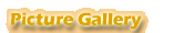 Picture Gallery