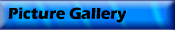 Picture Gallery