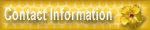Contact Info