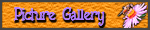 Picture Gallery