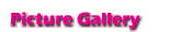 Picture Gallery