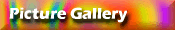 Picture Gallery