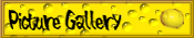 Picture Gallery