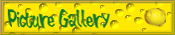 Picture Gallery