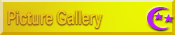 Picture Gallery