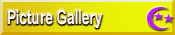 Picture Gallery