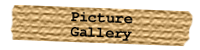 Picture Gallery