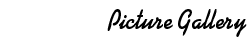 Picture Gallery