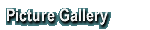 Picture Gallery
