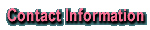 Contact Info