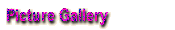 Picture Gallery