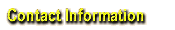 Contact Info