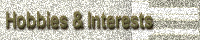 Interests & Hobbies