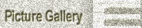 Picture Gallery
