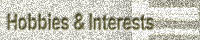 Interests & Hobbies