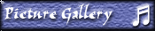 Picture Gallery