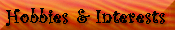Interests & Hobbies