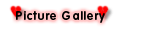 Picture Gallery