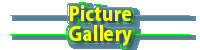 Picture Gallery