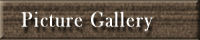 Picture Gallery
