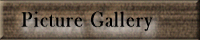 Picture Gallery